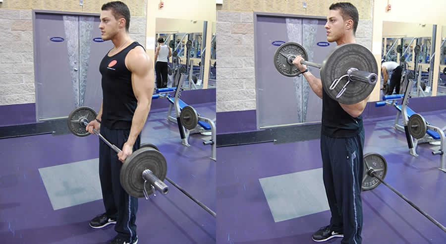 barbell curl performed by male personal trainer
