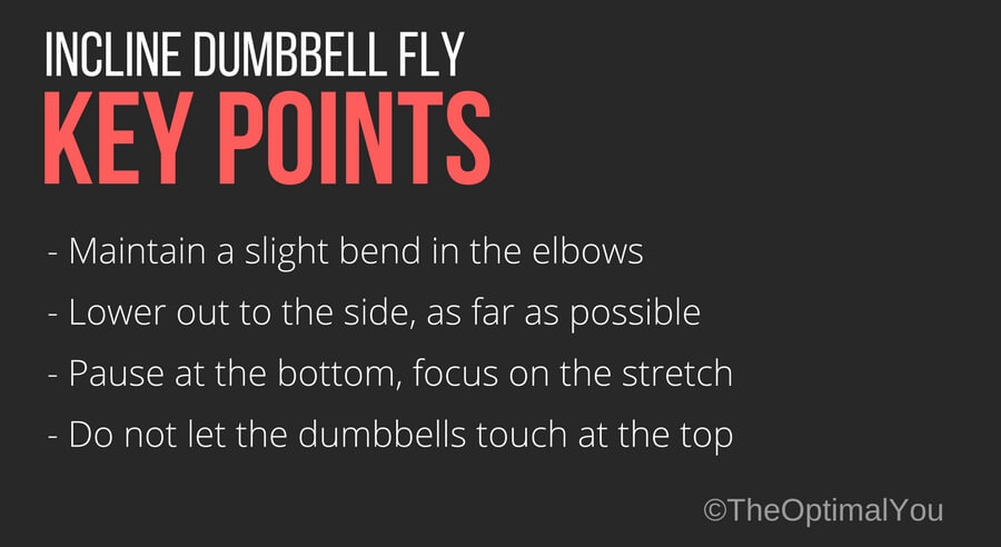 Key points when performing incline dumbbell fly exercise