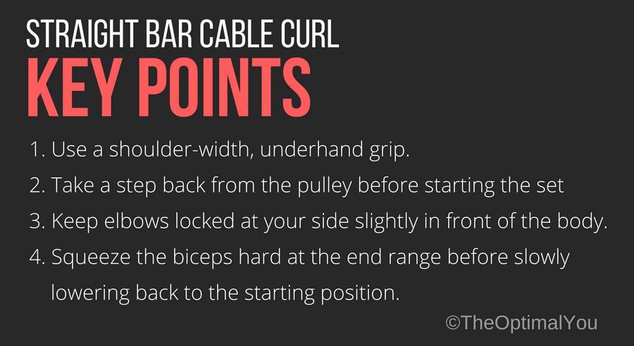 Key points when performing straight-bar cable curls