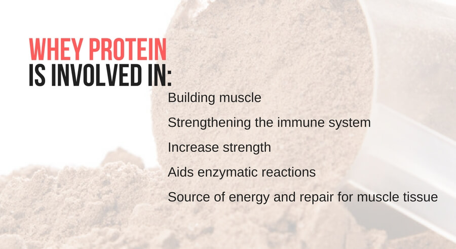 Protein involded in: building muscle, immune system, strenght, enzymatic reactions, source of enerygy and muscle tissue