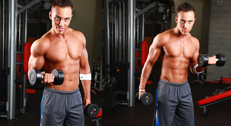 Alternating Dumbbell Curls Performed by Male Personal Trainer