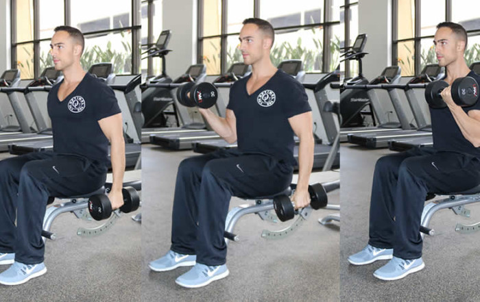 Seated Alternating Dumbbell Curls Performed by Male Personal Trainer