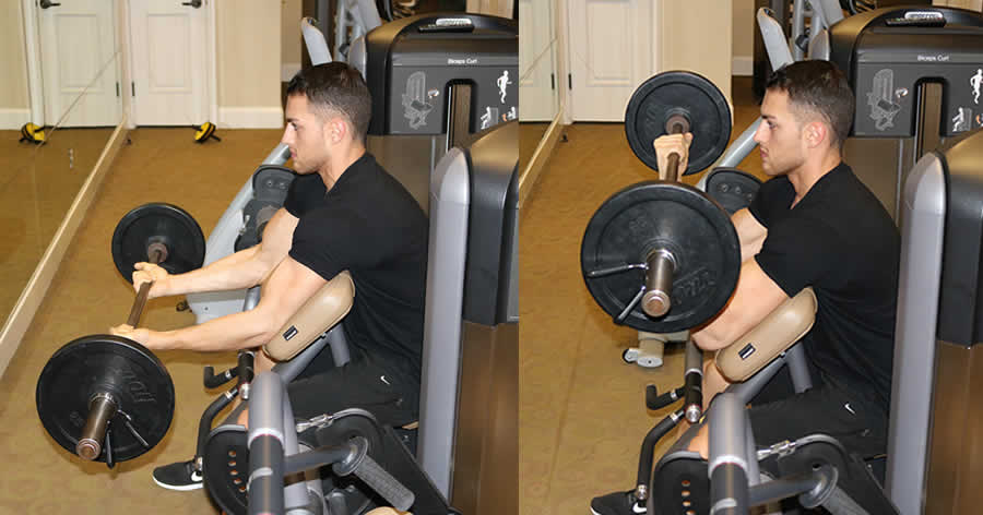 Barbell Curls on Preacher Bench Performed by Male Personal Trainer