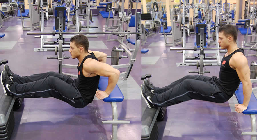Bench Dips Performed by Male Personal Trainer