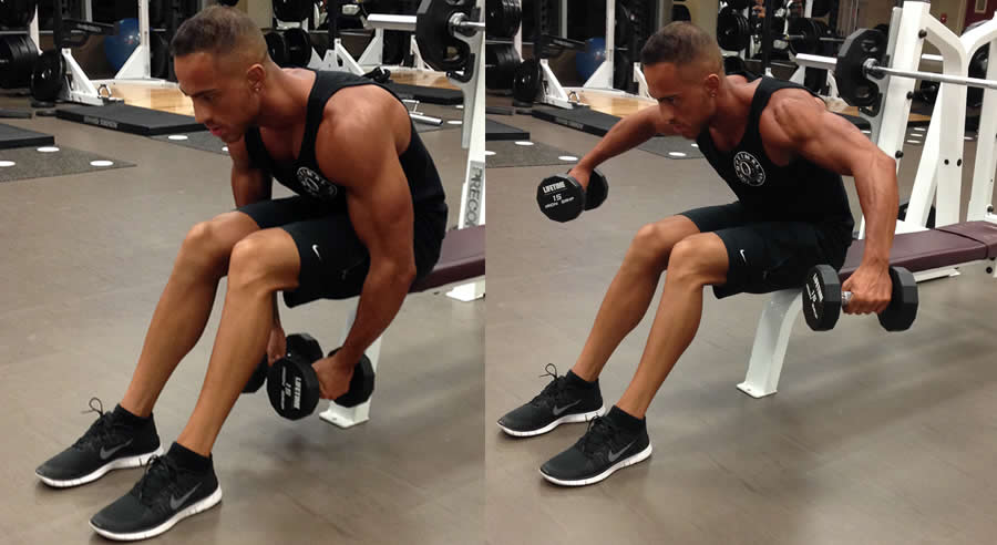 Bent Over Lateral Raise Performed by Male Personal Trainer