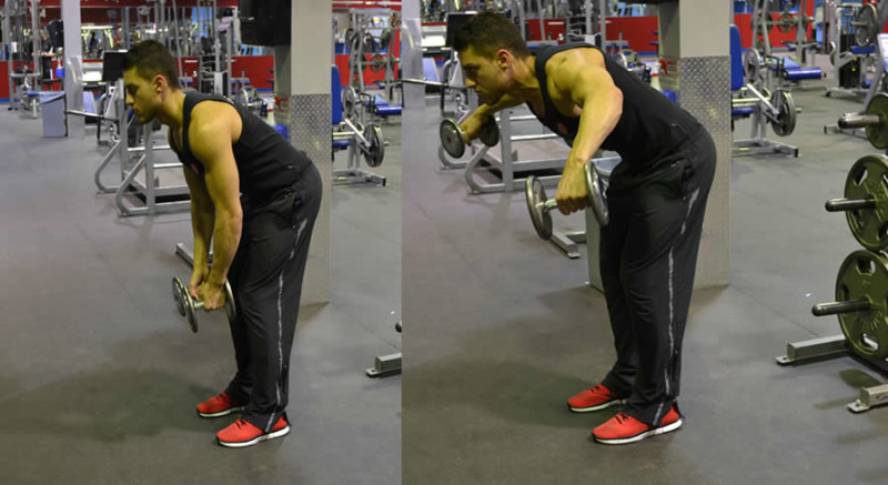 Bent Over Lateral Raise Standing Exercise The Optimal You 