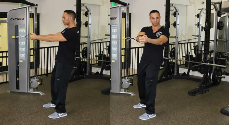 Cable Oblique Twists Exercise - The Optimal You | Online Personal ...