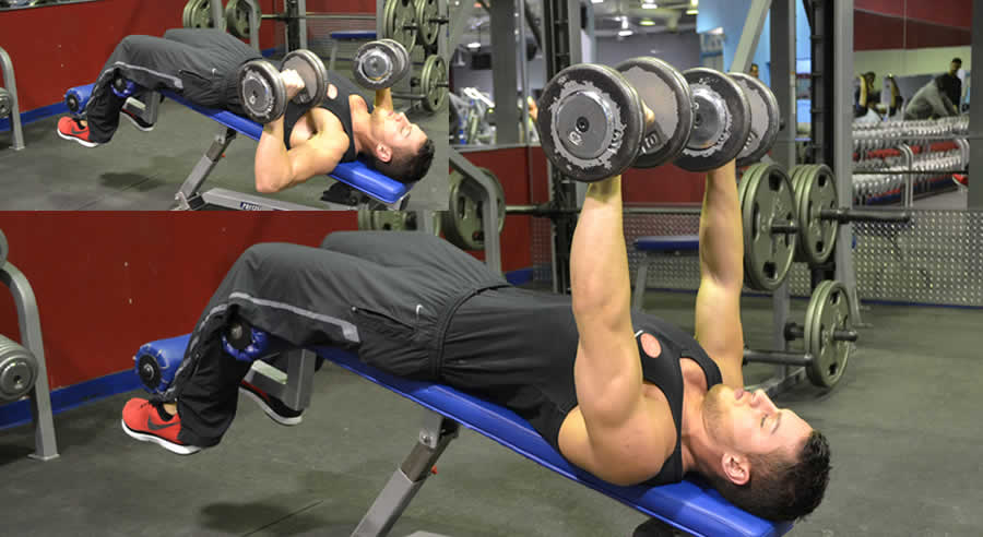 Decline Dumbbell Press Performed by Male Personal Trainer