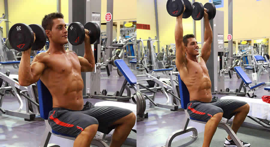 Dumbbell Shoulder Press Performed by Male Personal Trainer