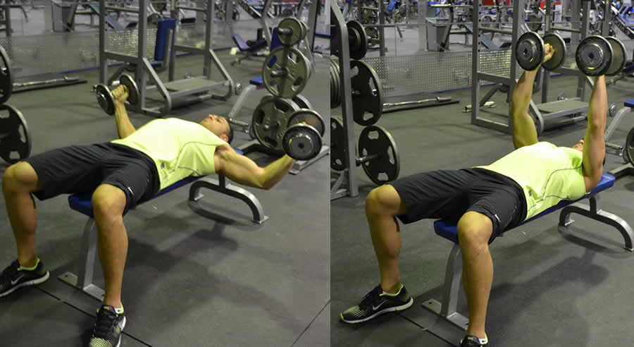 Flat Dumbbell Fly Performed by Male Personal Trainer