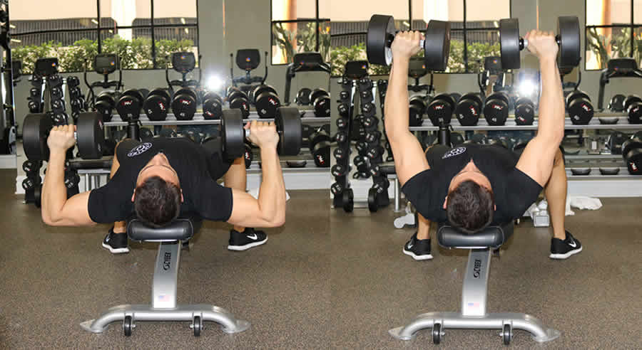 Flat Dumbbell Press 2 Performed by Male Personal Trainer