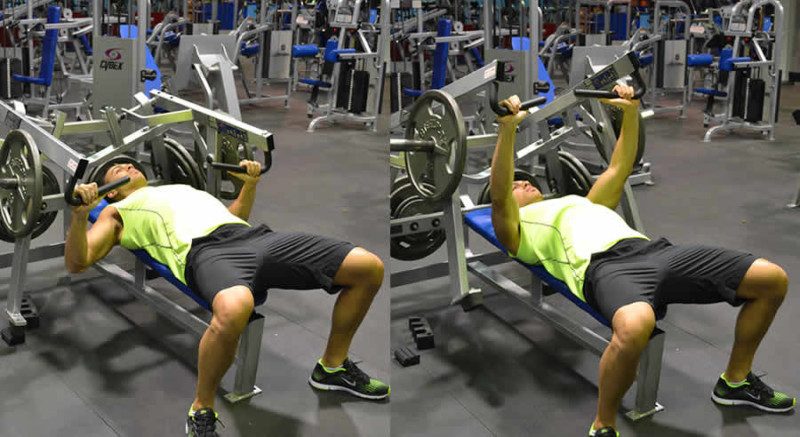 Flat Hammer Strength Press Exercise - The Optimal You