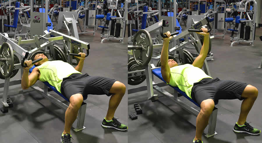 Flat Hammer Strength Press Performed by Male Personal Trainer