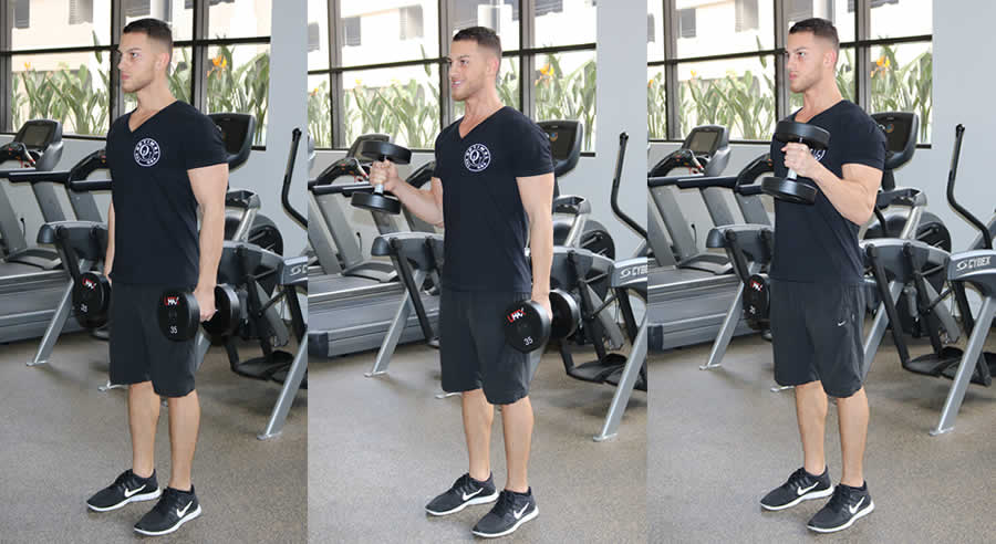 Alternating Hammer Curls Performed by Male Personal Trainer