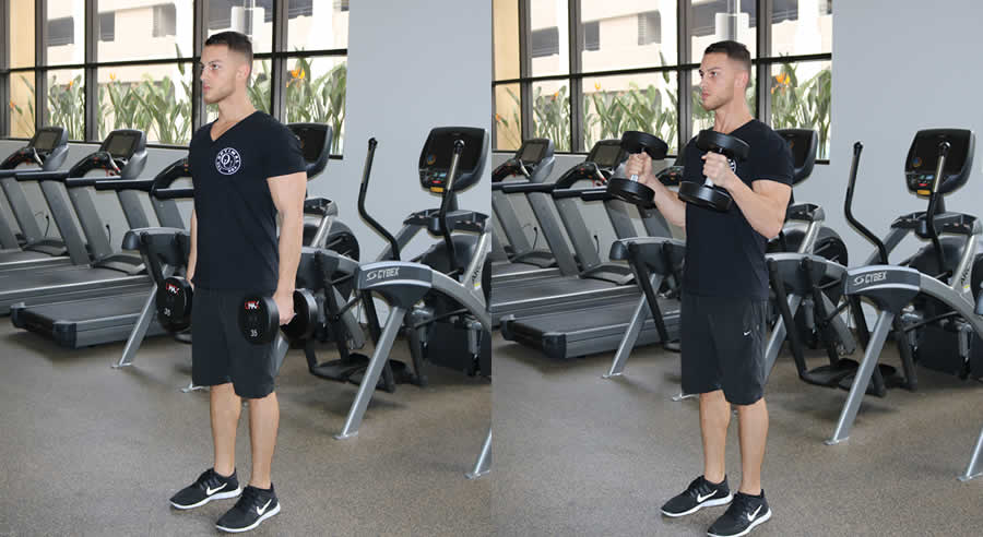 Hammer Curls Together Performed by Male Personal Trainer