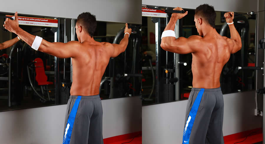 High Pulley Bicep Curls Performed by Male Personal Trainer