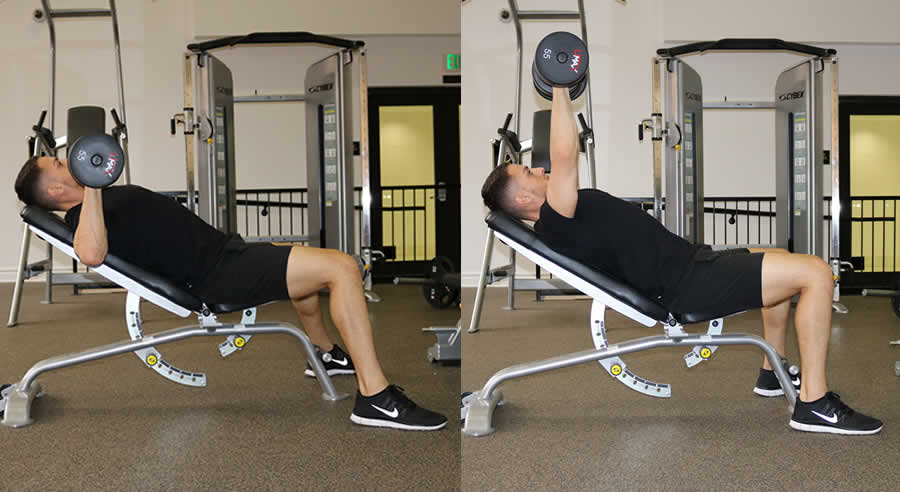 Incline Dumbbell Press Performed by Male Personal Trainer