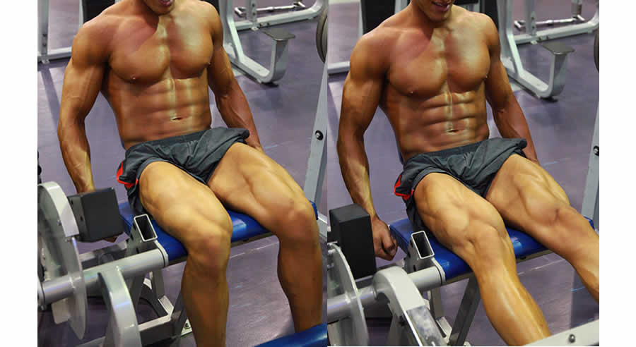 Leg Extensions Performed by Male Personal Trainer
