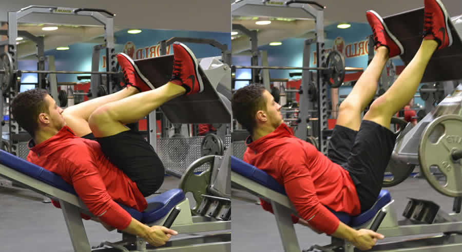 Leg Press Feet High on Platform Performed by Male Personal Trainer
