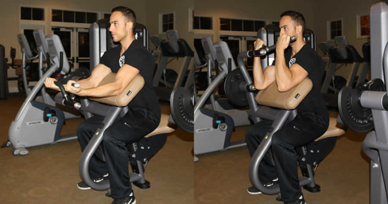 machine-preacher-curl-the-optimal-you-online-personal-trainers