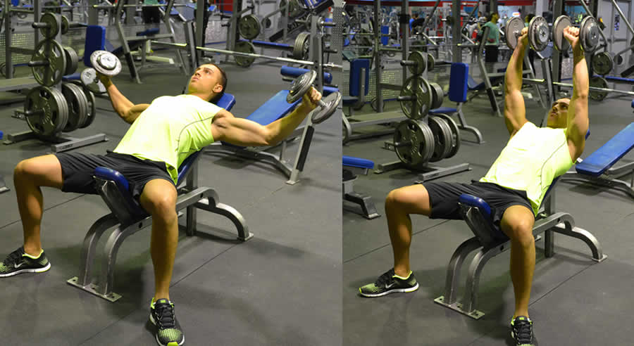 Incline Dumbbell Fly Performed by Male Personal Trainer