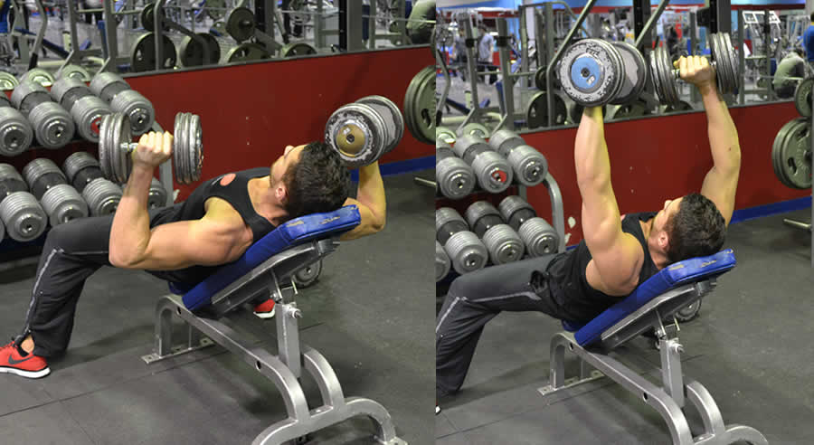 Modified Incline Dumbbell Press Performed by Male Personal Trainer