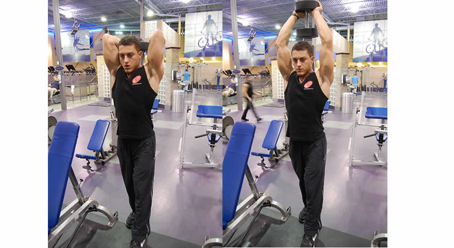 Overhead Dumbbell Extensions Performed by Male Personal Trainer
