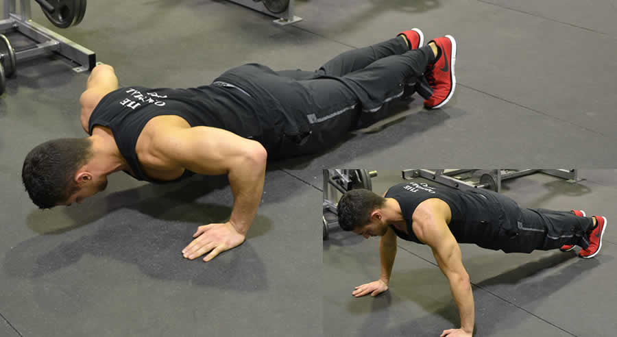 Push Ups Performed by Male Personal Trainer