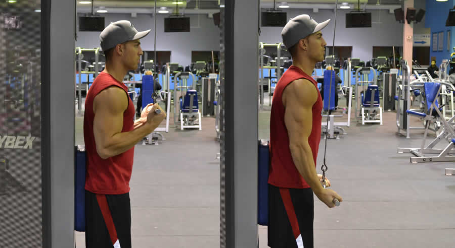 Reverse Cable Tricep Extensions with Bar Performed by Male Personal Trainer