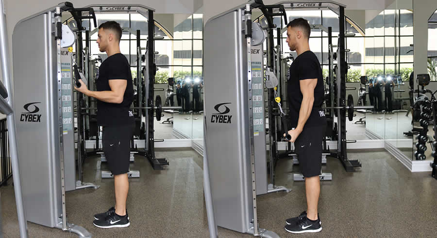 Single Arm Reverse Tricep Extension Performed by Male Personal Trainer