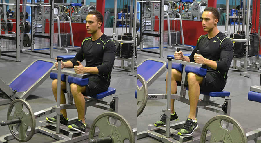 Seated Calve Raises Performed by Male Personal Trainer