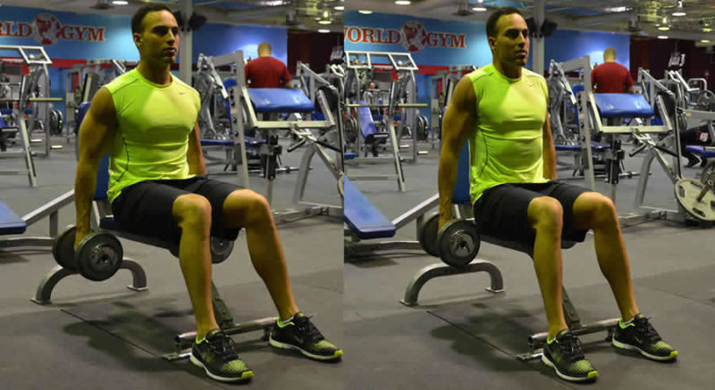 The Optimal You Seated Dumbbell Shrugs 800x437 