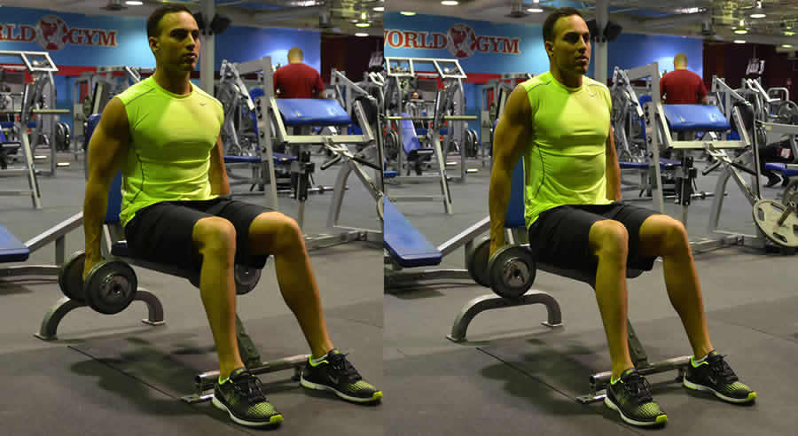 Seated Dumbbell Shrug Performed by Male Personal Trainer