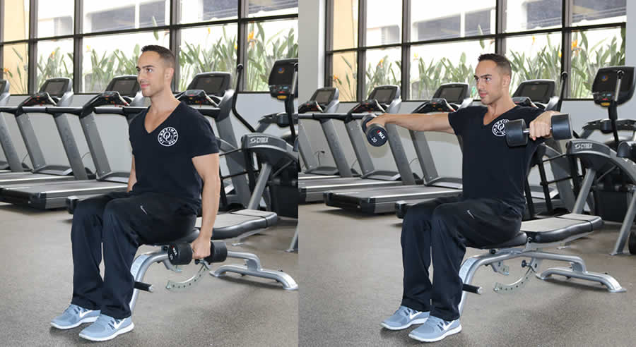 Seated Lateral Raise Performed by Male Personal Trainer