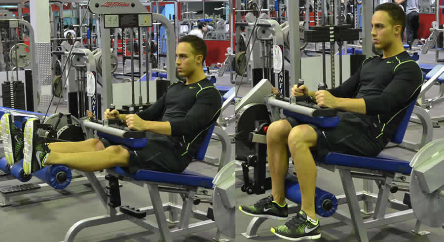 Seated Leg Curls Performed by Male Personal Trainer