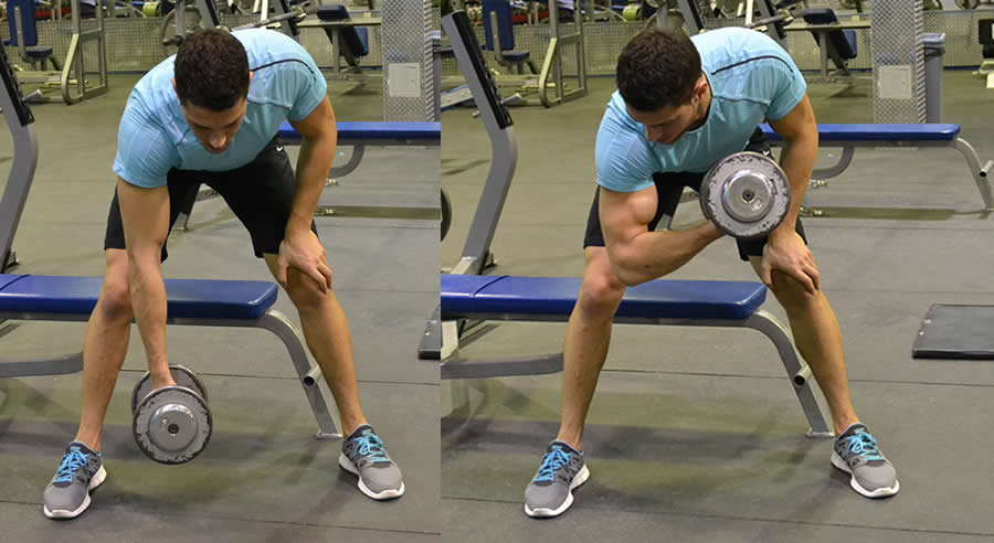 Standing Concentration Curls Performed by Male Personal Trainer