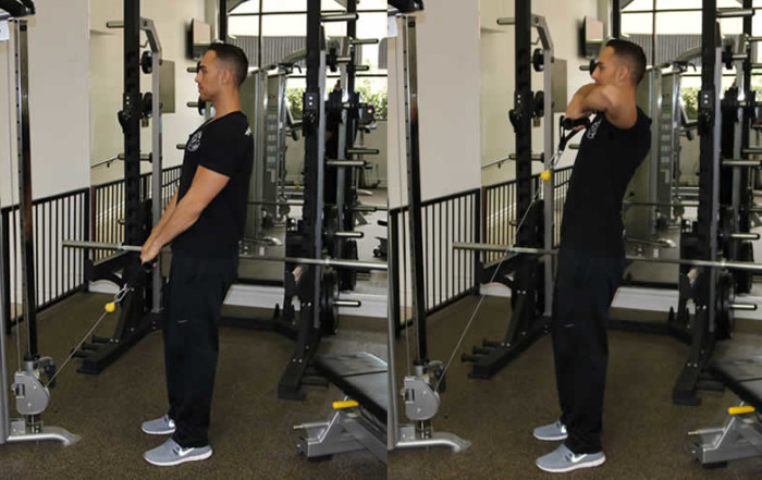 Upright Cable Row Performed by Male Personal Trainer