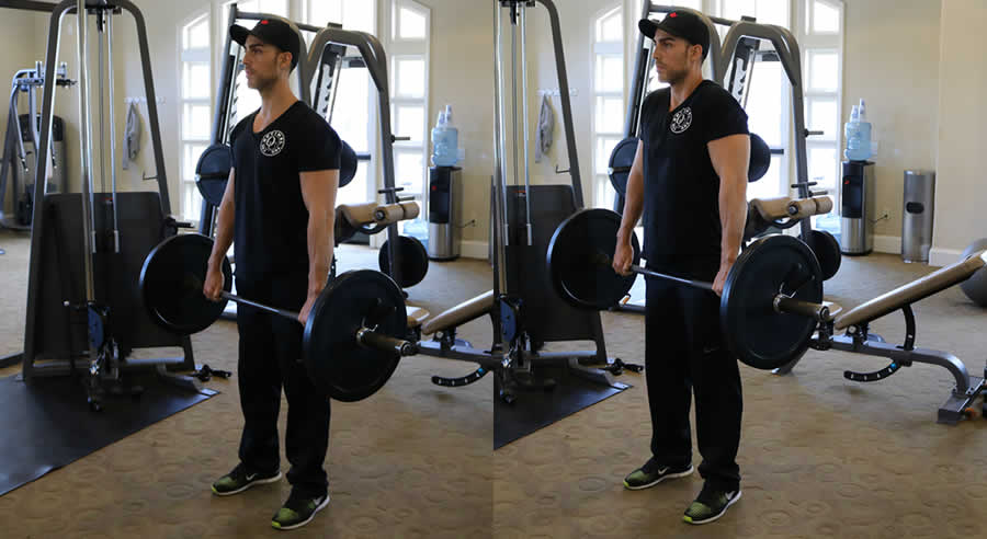 barbell shrugs performed by male personal trainer