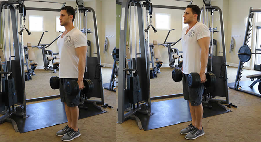dumbbell shrugs performed by male personal trainer
