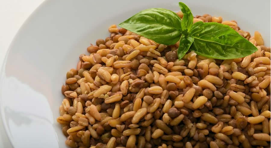 Rice with Lentils as Recommended by a Holistic Nutiritonist