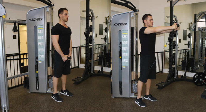 Cable Front Raise - The Optimal You | Online Personal Trainers ...