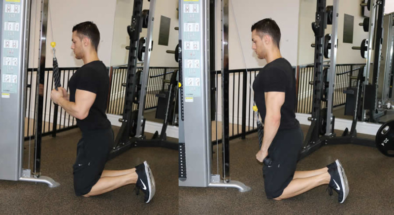 Cable Extension with Rope from Knees - The Optimal You | Online ...
