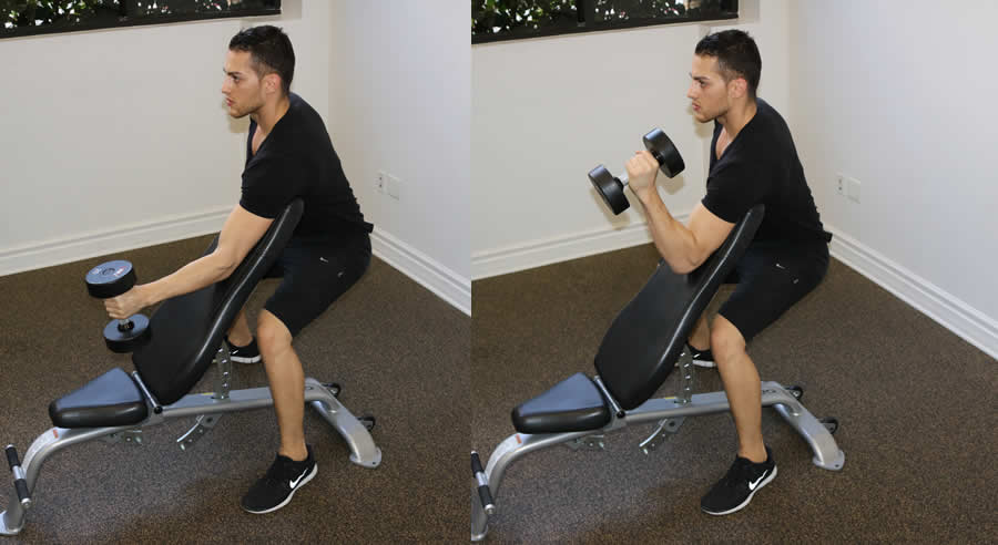 hammer concentrated curl on incline bench performed by male personal trainer