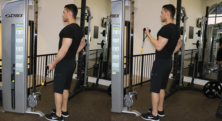 one arm cable curl performed by male personal trainer