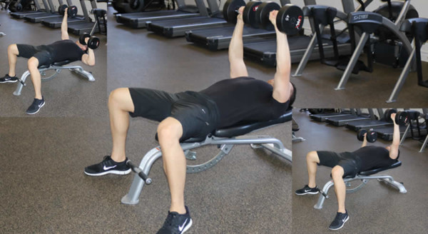 Flat Dumbbell Press with Isometric Hold – The Optimal You | Online ...