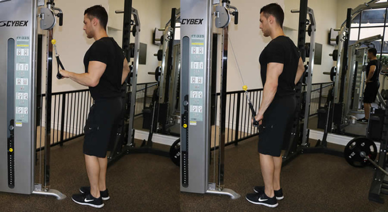 One Arm Tricep Extension - The Optimal You | Online Personal Trainers ...