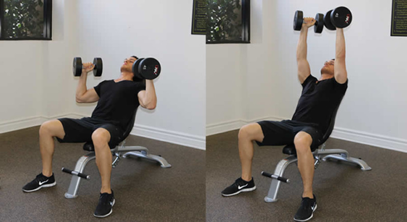 Semi Supinated Dumbbell Shoulder Press - The Optimal You | Online ...