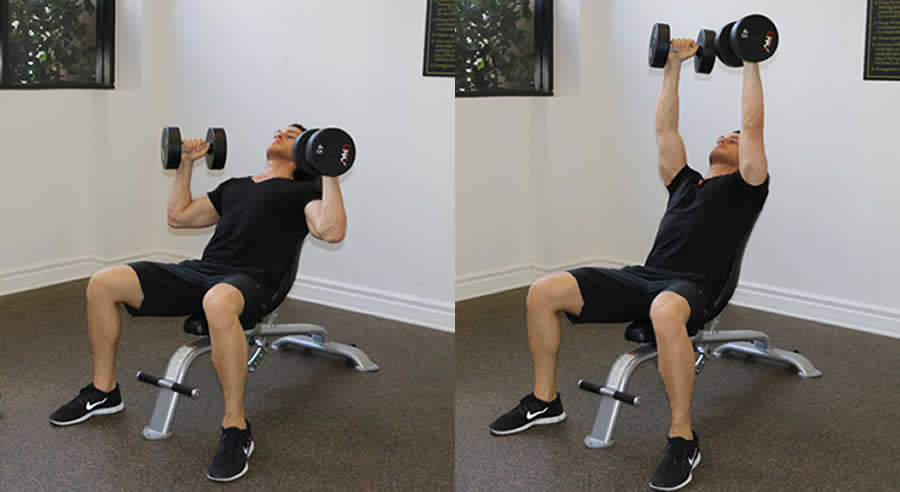 semi supinated dumbbell should press performed by male personal trainer