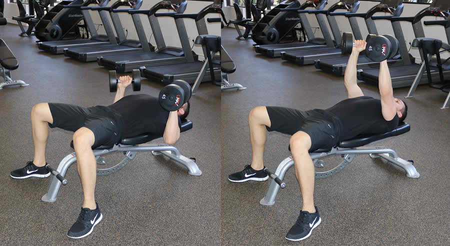 semi supinated flat dumbbell press performed by male personal trainer
