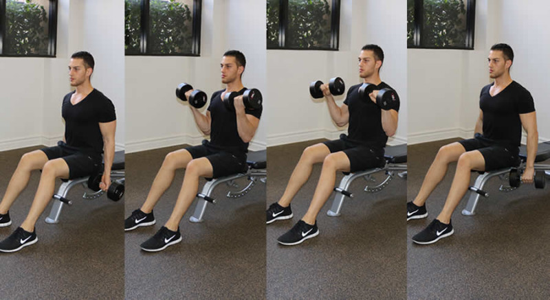 Zottman Curl The Optimal You Online Personal Trainers Holistic 